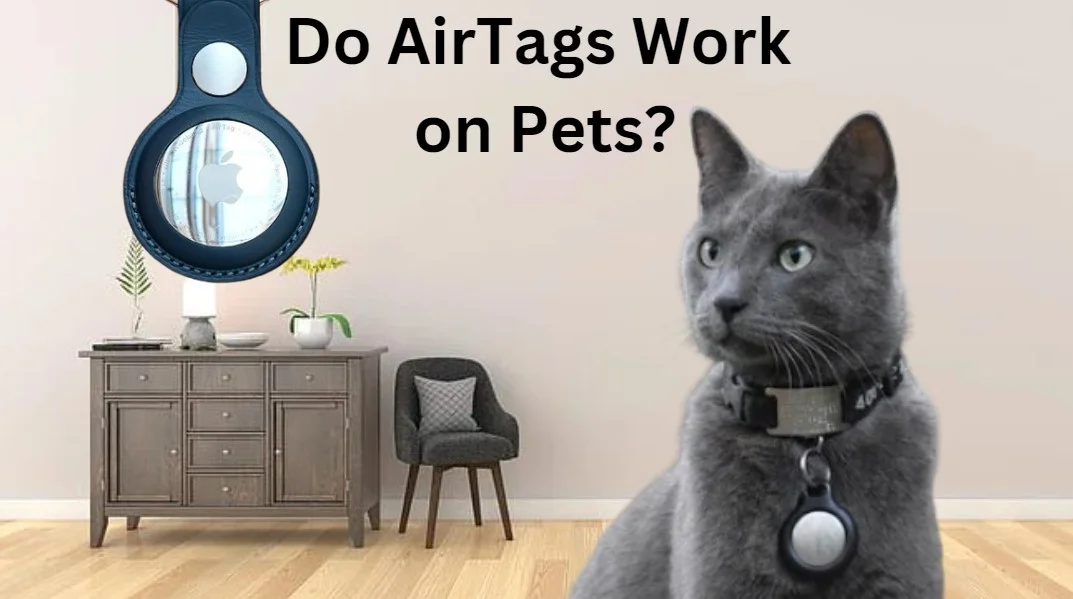 Do AirTags Work on Pets